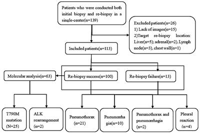 Repeat biopsy versus initial biopsy in terms of complication risk factors and clinical outcomes for patients with non-small cell lung cancer: a comparative study of 113 CT-guided needle biopsy of lung lesions